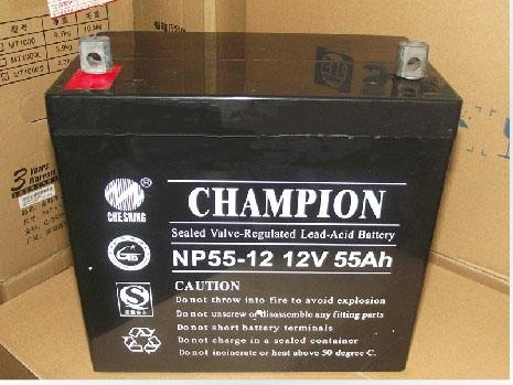 CHAMPION NP100-12 12V100AH蓄电池量大从优