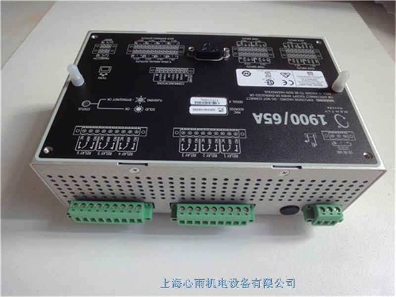 1900/65A-00-00-01-00-01本特利振动监测器现货