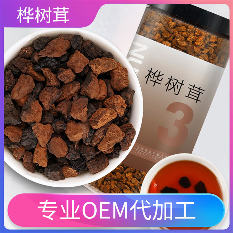 特殊膳食桦褐孔菌固体饮料代加工  桦树茸oem工厂