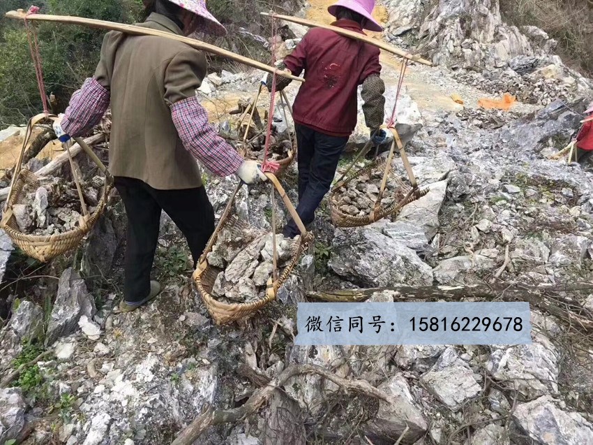 英石假山盆景 一吨青龙石价格 广东青龙石原产地 鱼缸点缀石