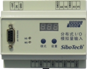 模拟量/PROFIBUS DP模块