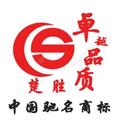 湖北楚胜汽车有限公司Logo