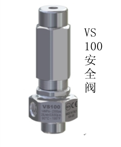 VS 100-AISI 316意大利进口安全阀、进口调压阀