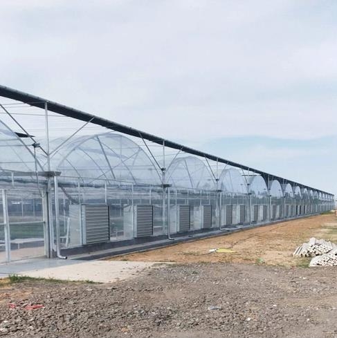 greenhouse Multi-span greenhouse Multi-span membrane greenhouse pictures & photos