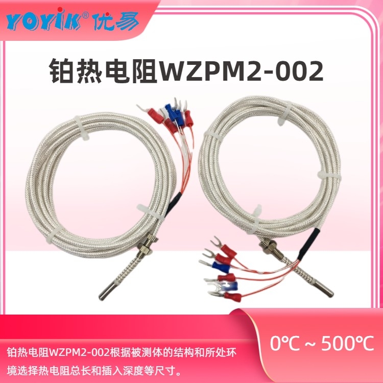 Made in China RTD temperature probe WZPK2-336 for thermal power plant pictures & photos