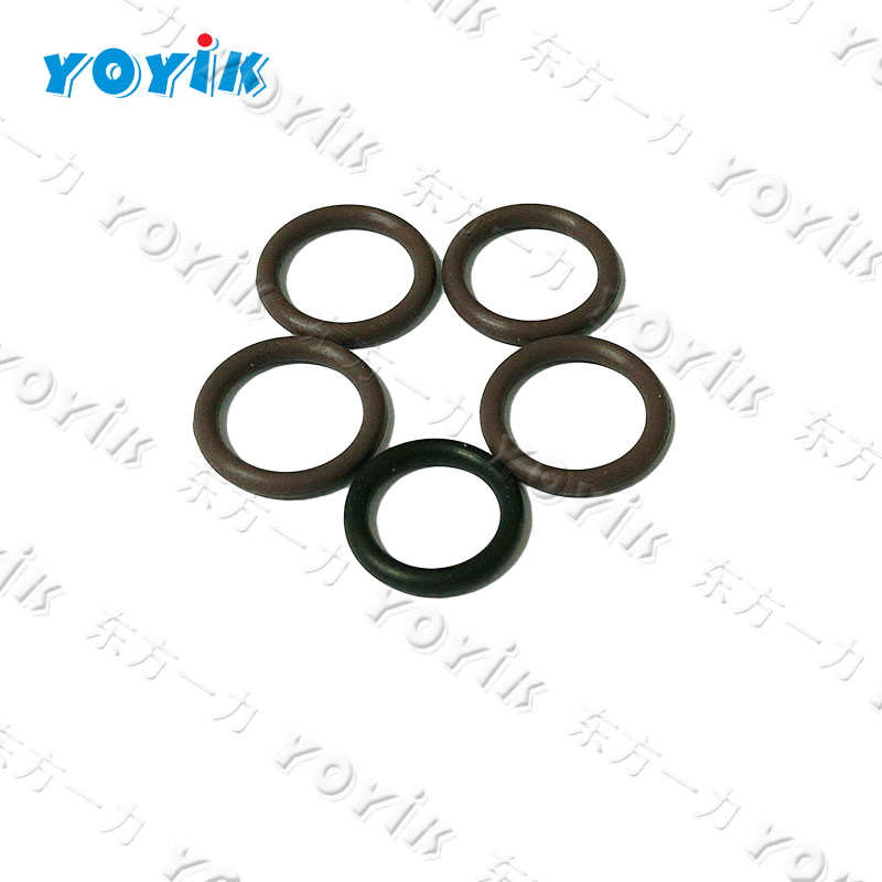 O type Seal ring HN 7445-250x7.0 for power station pictures & photos