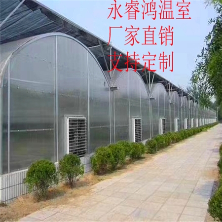 铜陵温室大棚厂建设方案