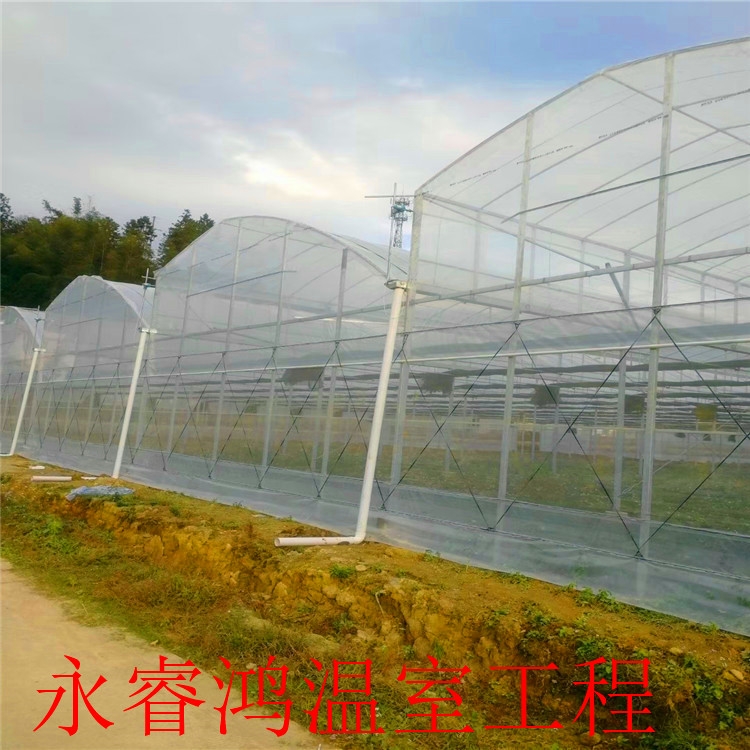 大量现货 塑料大棚 连栋大棚