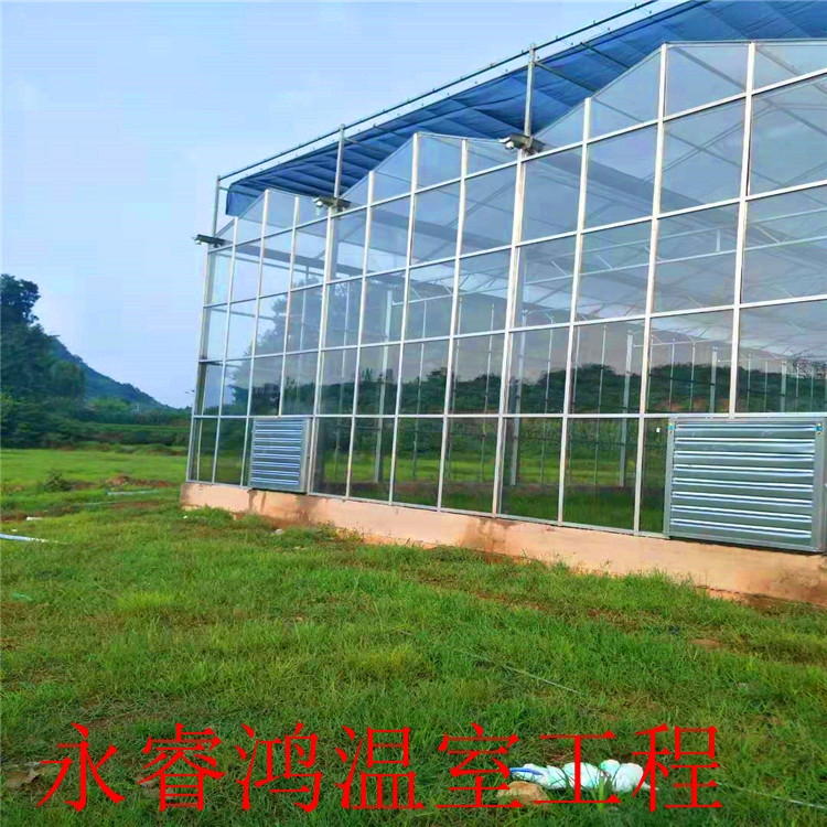 贸易商订货 大棚建设 建设方案