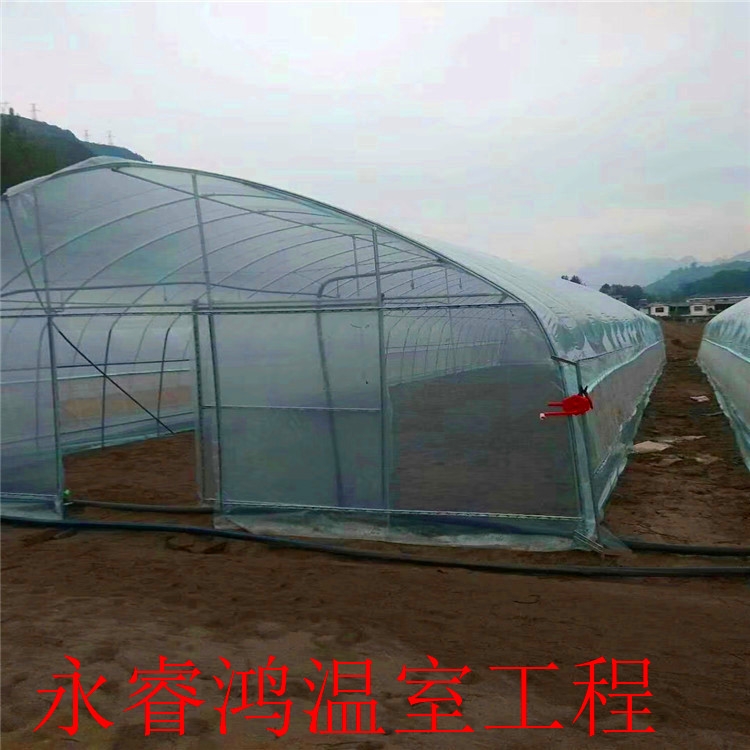 塑料大棚 连栋大棚厂 建设方案