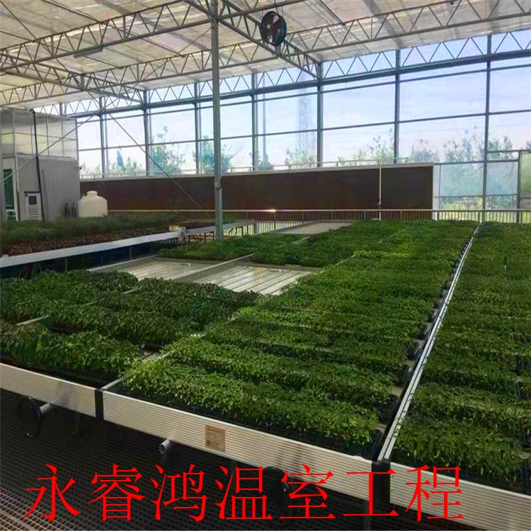 插地大棚 蔬菜大棚 支持定制