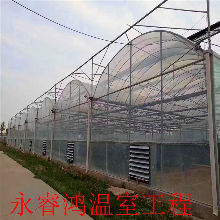 批发商订做 大棚建设 建造基地