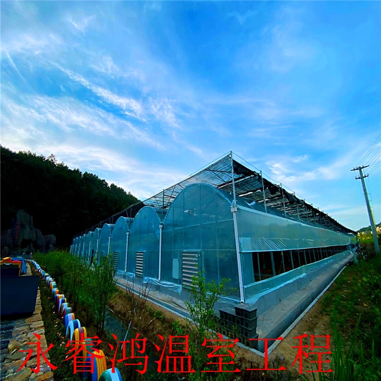 建造基地 大棚骨架 草莓大棚厂家