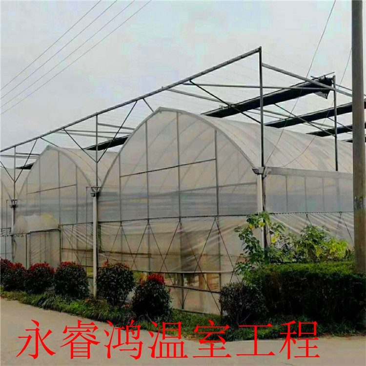 塑料大棚 大棚建设 建设方案