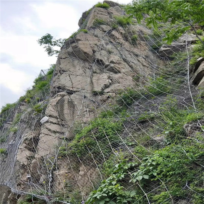 山坡防护网厂家_山坡防护网生产商_山坡防护用网