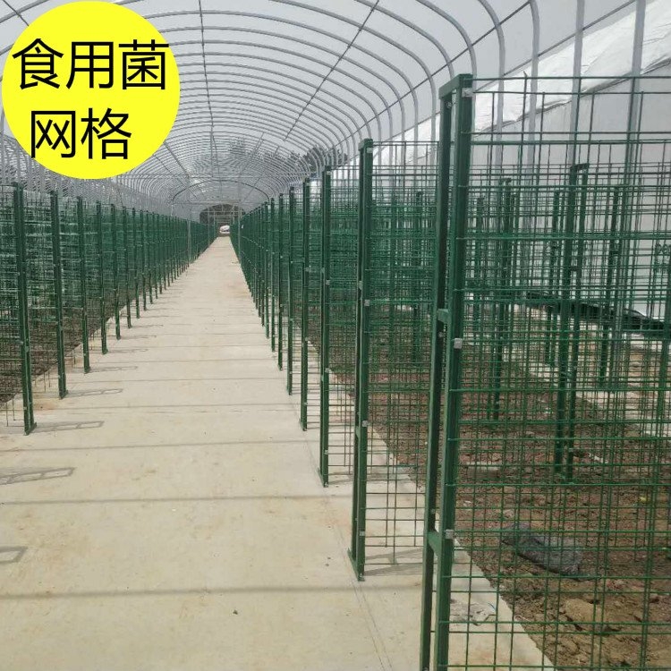 出菇网格片网架香菇培养架平菇网中久