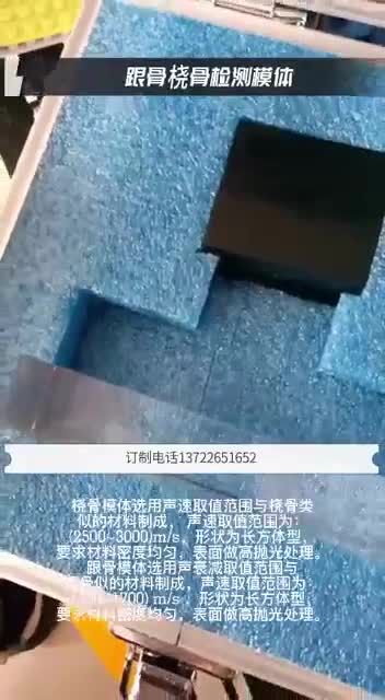 跟骨桡骨模体