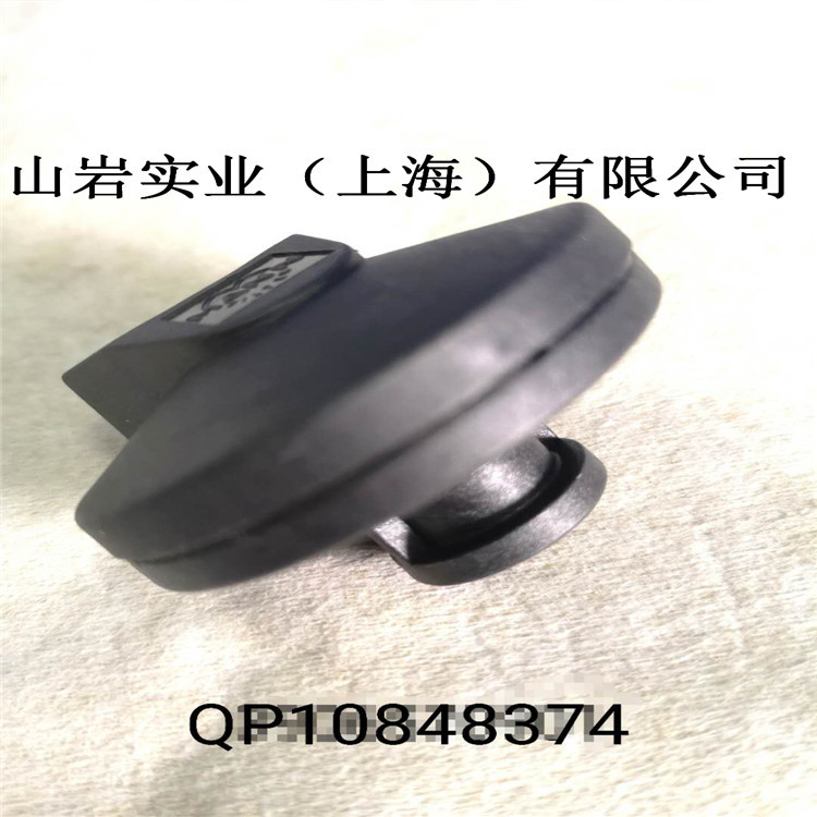 QP10848374登福空压机常规维修配件空滤压差开关现货供应批发压缩