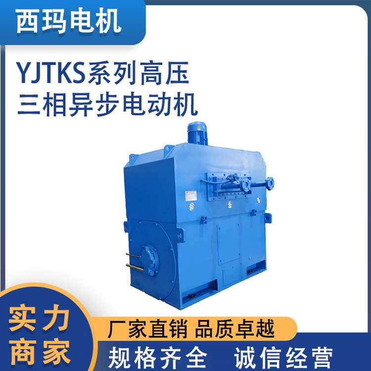 YJTKS列高压6KV\/10KV三相异步电动机鼠笼型转子电机生产厂家定制