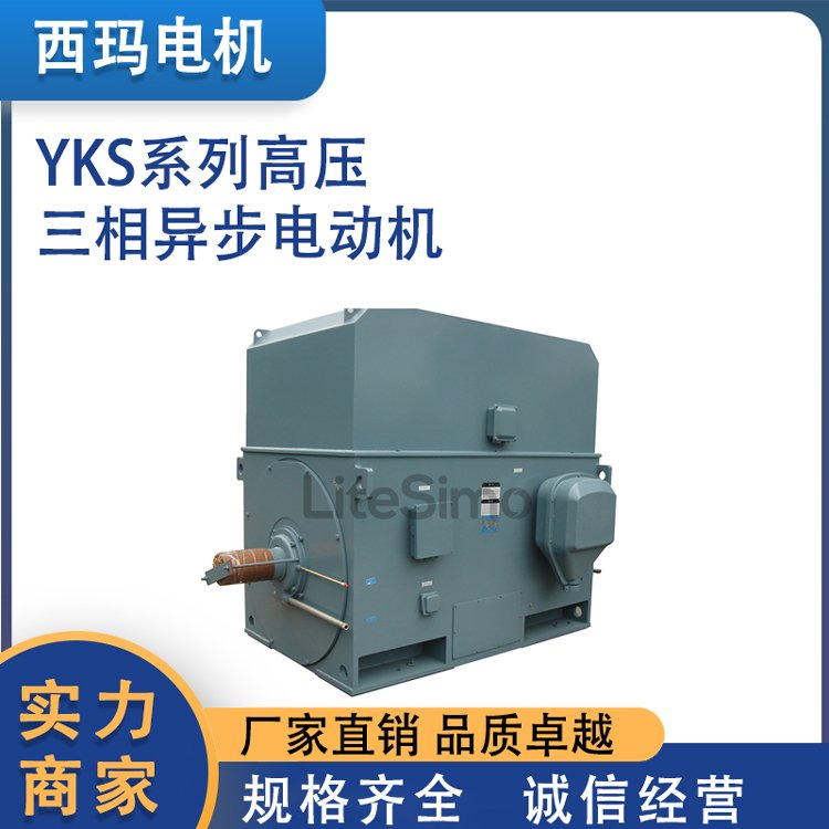 利特西玛YKS系列高压6KV\/10KV三相异步电动机厂家高效节能噪音低