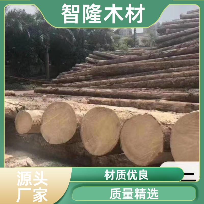 智隆木材漳州进口工地建筑方条铁杉货源充裕