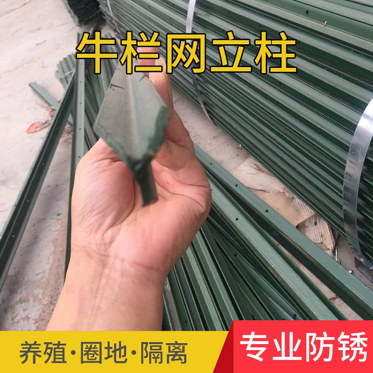 钢丝网立柱批发三角实心带孔Y型柱牛栏网草原网荷兰网刺绳支撑柱