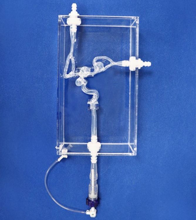 创导三维SJk013D动脉瘤血管模型高透明柔性软硅胶可定制