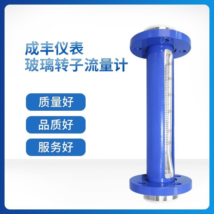 常州成丰厂家定制F10-25F0引进型非标定制法兰连接碳钢外壳气体玻璃转子流量计