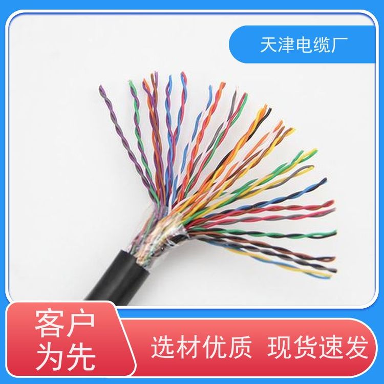 天联供应阻燃控制电缆ZR-KVVP2-22消防用控制线