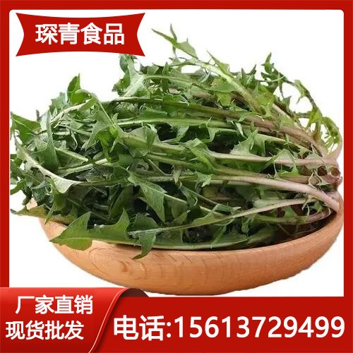 新鲜蒲公英速冻菜陷散装野菜冷冻蔬菜馅料供应链冷藏发