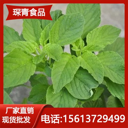 绿苋菜农家纯野生新鲜嫩叶蔬菜野生苋菜野菜凉拌做特产