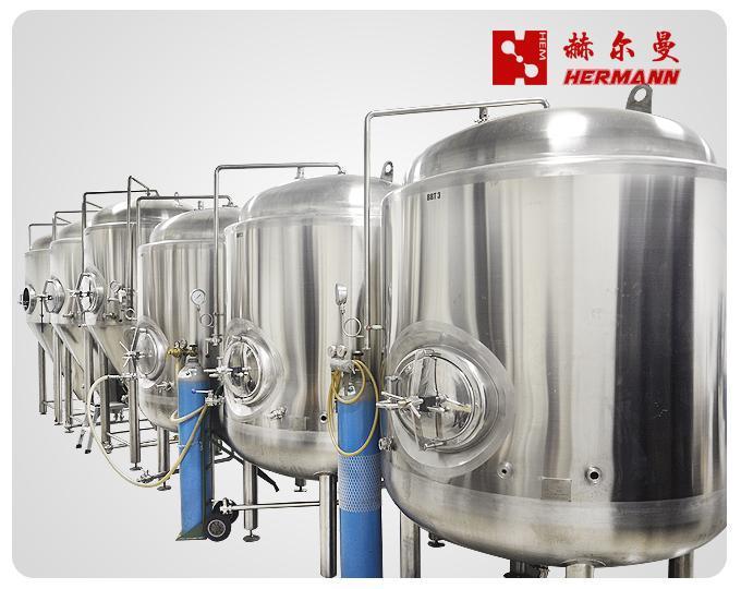 江苏南京小型啤酒酿造设备厂家直销支持定制
