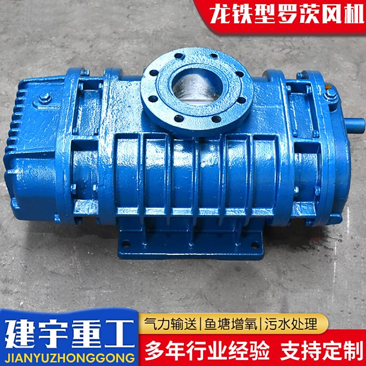 龙铁型罗茨鼓风机气力输送鱼塘养殖污水处理
